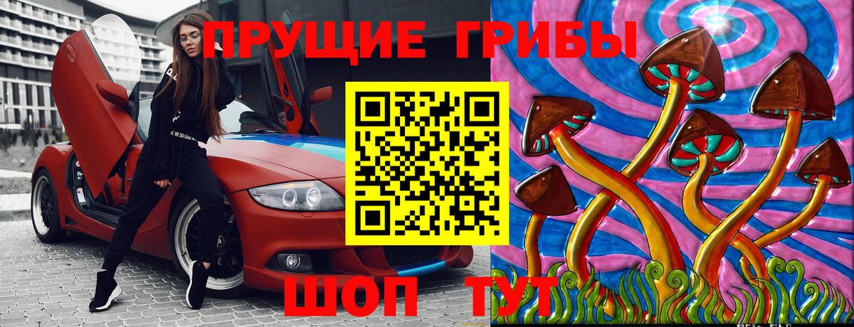 Галлюциногенные грибы Psilocybine cubensis  Вход с VPN  Псилоцибиновые грибы Psilocybine cubensis  Барабинск 